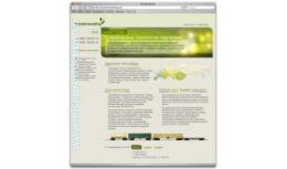 Разработка фирменного стиля и web-дизайна для группы компаний «Трансфорвардинг» (Август — Декабрь 2010)