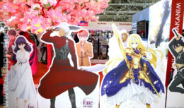 Застройка и декорационное оформление стендов WAKANIM и BUSINESS CAR на Фестивале японской культуры Hinode Power Japan 2019 (март 2019, ВДНХ, 75 павильон)