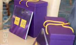 Юбилей компании Диаэм (сентябрь 2023, Парк Отель Софрино)