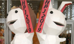 Фестиваль японской культуры Hinode Power Japan 2019 (март 2019, ВДНХ, 75 павильон)