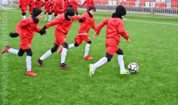 Презентация проекта развития спортивной и городской инфраструктуры территория «СПАРТАК»