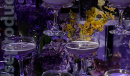 Юбилей компании Диаэм (сентябрь 2023, Парк Отель Софрино)