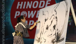 Фестиваль японской культуры Hinode Power Japan 2019 (март 2019, ВДНХ, 75 павильон)