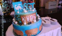 Новогоднее мероприятия для сотрудников компании «СГ-транс» (декабрь 2016; Отель АЗИМУТ Олимпик Москва)