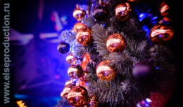 Корпоративный Новый год для компании «Единая Почтовая Корпорация» (декабрь 2012, клуб «АРТИСТ»)