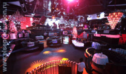 Корпоративный Новый год для компании «Единая Почтовая Корпорация» (декабрь 2012, клуб «АРТИСТ»)