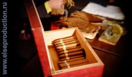 Корпоративный Новый год для компании «Единая Почтовая Корпорация» (декабрь 2012, клуб «АРТИСТ»)