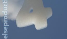 4-летие компании ОАО «Первая грузовая компания» (июль 2011, Пушкинская набережная в ЦПКиО им. Горького)