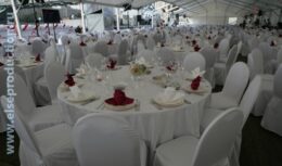 4-летие компании ОАО «Первая грузовая компания» (июль 2011, Пушкинская набережная в ЦПКиО им. Горького)