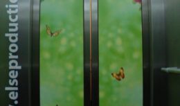 Мероприятия, приуроченные ко Дню 8 марта для компании ОАО «Первая грузовая компания» (март 2011, Головной офис ОАО «ПГК»)