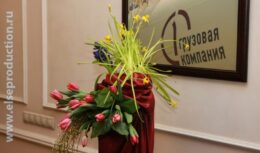 Мероприятия, приуроченные ко Дню 8 марта для компании ОАО «Первая грузовая компания» (март 2011, Головной офис ОАО «ПГК»)