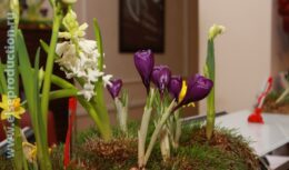 Мероприятия, приуроченные ко Дню 8 марта для компании ОАО «Первая грузовая компания» (март 2011, Головной офис ОАО «ПГК»)