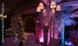 Празднование Нового 2010 года (декабрь 2009, ресторан «Марио»)