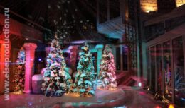 Празднование Нового 2010 года (декабрь 2009, ресторан «Марио»)