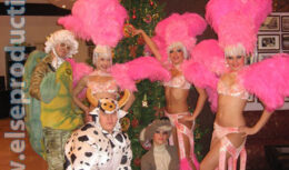 Празднование Нового 2009 года в Курортном комплексе «Надежда» (декабрь 2008 — январь 2009, г. Геленджик)