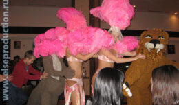 Празднование Нового 2009 года в Курортном комплексе «Надежда» (декабрь 2008 — январь 2009, г. Геленджик)