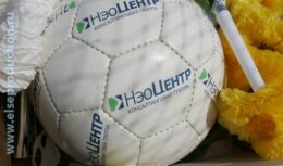 Корпоративные мероприятия для Консалтинговой группы «НЭО Центр» — «НЭО-Спортсмены» (июль 2008, База отдыха «Глория»)