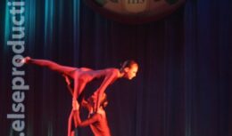 20-летие школы № 1113 с углубленным изучением музыки и хореографии (май 2008, ДК МЭЛЗ)