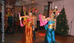 Празднование Нового 2007 года в Курортном комплексе «Надежда» (декабрь 2006 — январь 2007, г. Геленджик)