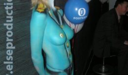 Презентация по выводу и продвижению брэнда Foster’s на российский рынок (г. Санкт-Петербург, 2005)