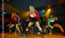 Презентация по выводу и продвижению брэнда Foster’s на российский рынок (г. Москва, 2005)