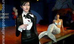 Презентация по выводу и продвижению брэнда Foster’s на российский рынок (г. Москва, 2005)