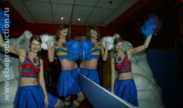 Презентация по выводу и продвижению брэнда Foster’s на российский рынок (г. Москва, 2005)