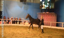 Открытие Millioner Fair