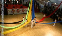 Соорганизация Открытия и Закрытия Международной выставки Министерства спорта, туризма и молодежной политики «Спорт`8» (апрель 2008, ВВЦ)