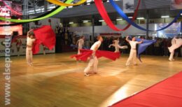 Соорганизация Открытия и Закрытия Международной выставки Министерства спорта, туризма и молодежной политики «Спорт`8» (апрель 2008, ВВЦ)