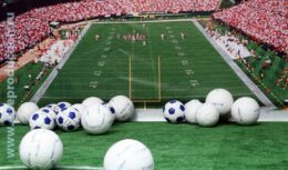 Застройка стенда, организация мероприятий для Консалтинговой группы «НЭО Центр» на VII Международном Инвестиционном Форуме в г. Сочи (сентябрь 2008, г. Сочи)