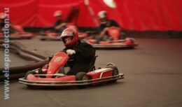 Дилерская конференция компании «ЭксонМобил» (2007, Forza karting)