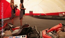 Дилерская конференция компании «ЭксонМобил» (2007, Forza karting)