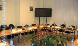 Пресс-конференция для компании «Рустехконсалтинг» (2005)