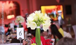 Свадьба (июнь 2011, Гостиница Radisson Royal «Украина»)