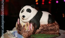 Детский день рождения (март 2009, клуб «Самолет»)