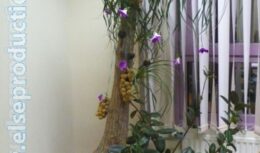 Оформление офиса ко дню рождения