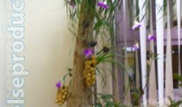 Оформление офиса ко дню рождения