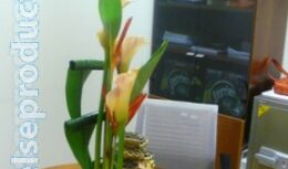 Оформление офиса ко дню рождения