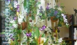 Оформление офиса ко дню рождения