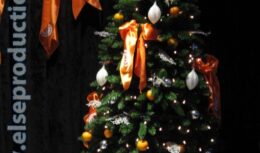 Корпоративный Новый 2010 год для компании «Единая Почтовая Корпорация» (декабрь 2009, ресторан «NEXT DOOR»)