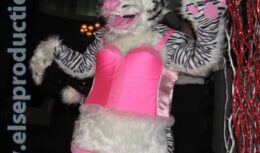 Корпоративный Новый 2010 год для компании «Единая Почтовая Корпорация» (декабрь 2009, ресторан «NEXT DOOR»)