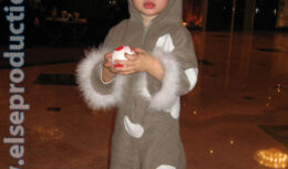 Празднование Нового 2009 года в Курортном комплексе «Надежда» (декабрь 2008 — январь 2009, г. Геленджик)