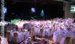 Новогодние мероприятия в Курортном комплексе «Надежда» (декабрь 2009 — январь 2010, г. Геленджик)