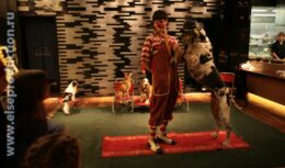 Детский день рождения (декабрь 2010, ресторан «Кинки»)