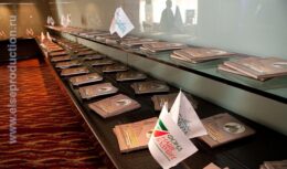 Церемония награждения ежегодной Премии «За вклад в развитие и продвижение социального предпринимательства в России —  «ИМПУЛЬС ДОБРА» (апрель 2012, Гостиница «Ренессанс Москва»)