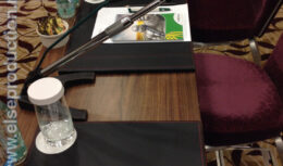 Конференция «PL Retail Meeting» для сотрудников и партнеров компании «МИШЛЕН» (декабрь 2013, Отель «Интерконтинентал Тверская»)