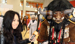 Фестиваль японской культуры Hinode Power Japan 2018 (апрель 2018, ВДНХ, 75 павильон)