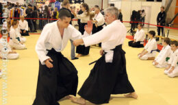 Фестиваль японской культуры Hinode Power Japan 2018 (апрель 2018, ВДНХ, 75 павильон)