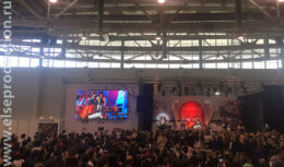 Фестиваль японской культуры Hinode Power Japan 2018 (апрель 2018, ВДНХ, 75 павильон)